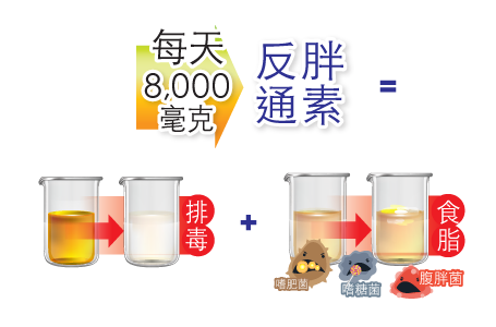 8000mg反胖通素